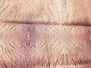 Pocket Square: "Color Field: Dusted Rose"